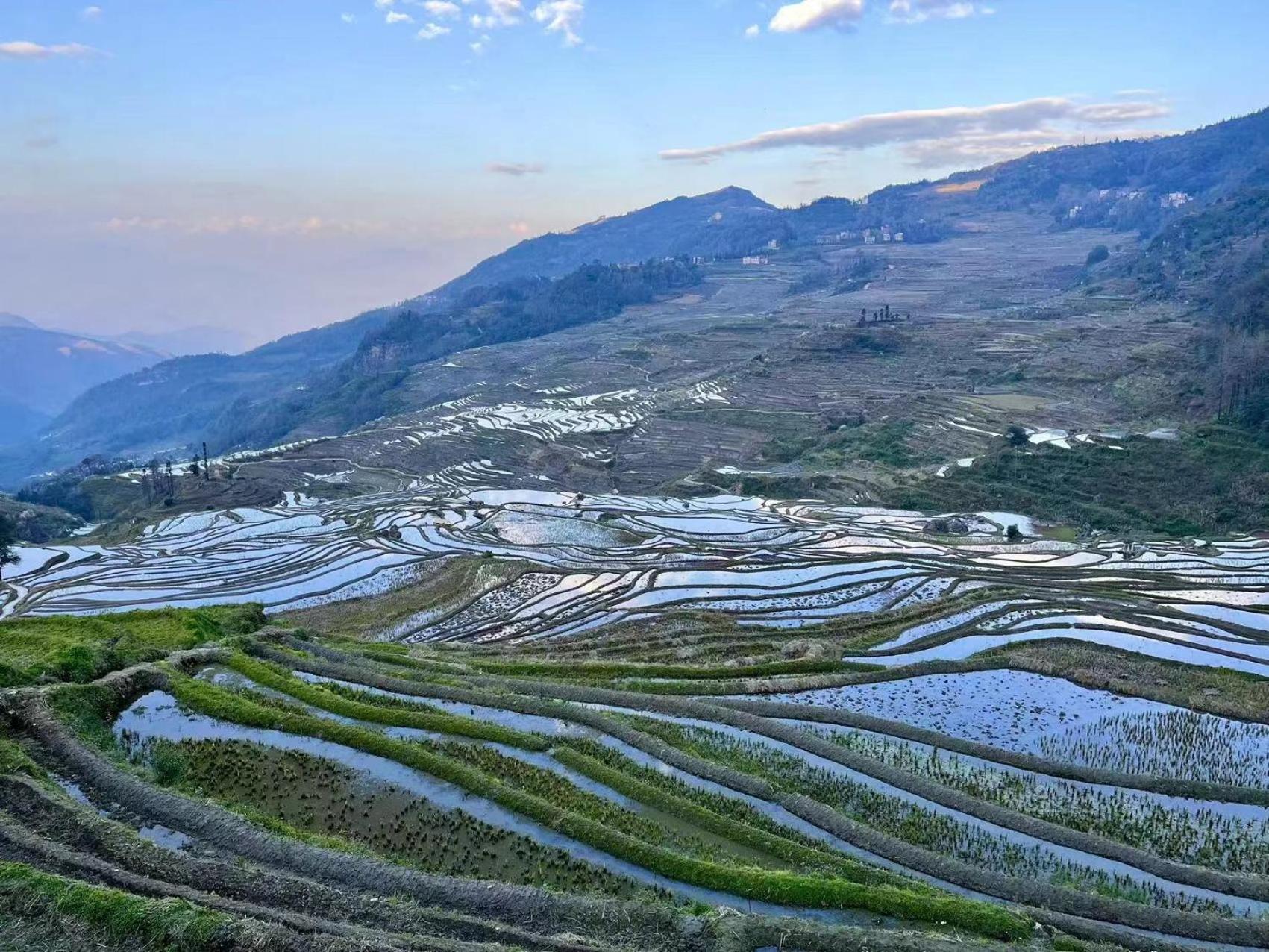 Yuanyang Flower And Horse Inn Экстерьер фото